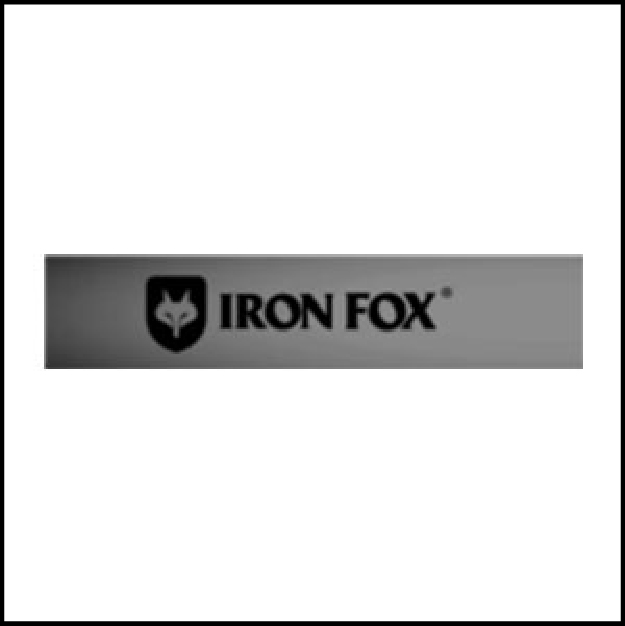 ironfox-shoe-machine1