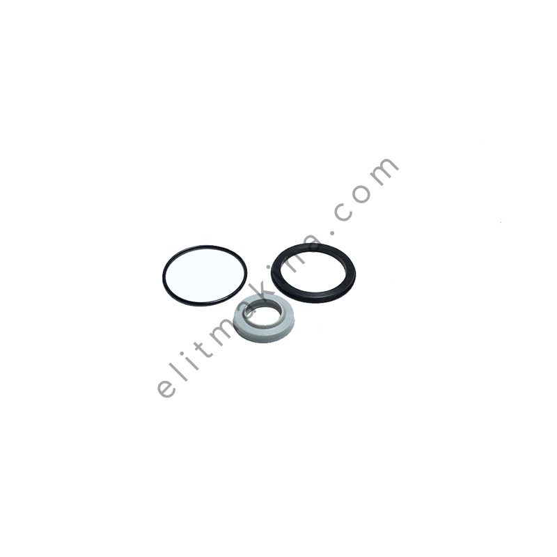 Brustia Pue 376 Gasket Kit